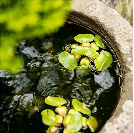 享受在時尚現代的家中 家人的放鬆時光